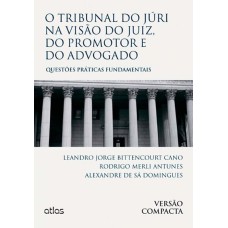 O TRIBUNAL DO JÚRI NA VISÃO DO JUIZ, DO PROMOTOR E DO ADVOGADO: QUESTÕES PRÁTICAS - VERSÃO COMPACTA