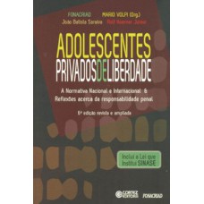 Adolescentes privados de liberdade: a normativa nacional e internacional & reflezões acerca da responsabilidade penal