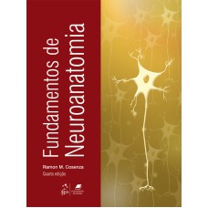 FUNDAMENTOS DE NEUROANATOMIA