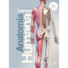 ANATOMIA HUMANA