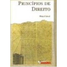 PRINCIPIOS DE DIREITO