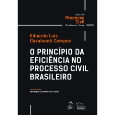 COLEÇÃO PROCESSO CIVIL CONTEMPORÂNEO - O PRINCÍPIO DA EFICIÊNCIA NO PROCESSO CIVIL BRASILEIRO