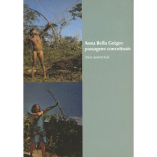 Anna bella geiger: passagens conceituais