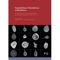 Foraminíferos planctônicos e bentônicos: da plataforma e talude continental do atlântico sudoeste, entre 19°-33°s