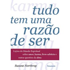 Tudo tem uma razão de ser: lições do mundo espiritual sobre amor, karma, livre-arbítrio e outras questões da alma