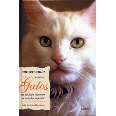 Conversando com os gatos: um diálogo incomum de sabedoria felina