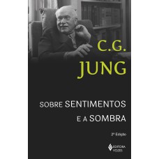 SOBRE SENTIMENTOS E A SOMBRA: SESSÕES DE PERGUNTAS DE WINTERHUR