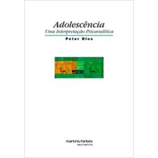 Adolescência: uma interpretação psicanalítica