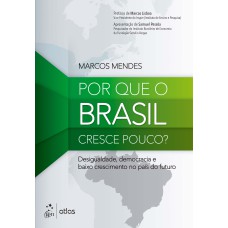 POR QUE O BRASIL CRESCE POUCO?