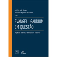 EVANGELII GAUDIUM EM QUESTÃO: ASPECTOS BÍBLICOS, TEOLÓGICOS E PASTORAIS