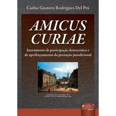 AMICUS CURIAE - INSTRUMENTO DE PARTICIPAÇÃO DEMOCRÁTICA E DE APERFEIÇOAMENTO DA PRESTAÇÃO JURISDICIONAL