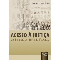 ACESSO À JUSTIÇA - UM PRINCÍPIO EM BUSCA DE EFETIVAÇÃO