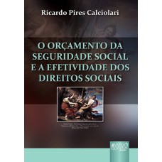 ORÇAMENTO DA SEGURIDADE SOCIAL E A EFETIVIDADE DOS DIREITOS SOCIAIS