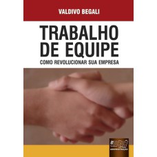 TRABALHO DE EQUIPE - COMO REVOLUCIONAR SUA EMPRESA