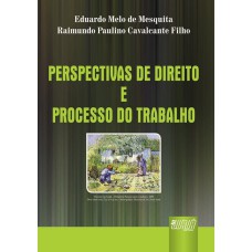 PERSPECTIVAS DE DIREITO E PROCESSO DO TRABALHO