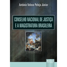 CONSELHO NACIONAL DE JUSTIÇA E A MAGISTRATURA BRASILEIRA