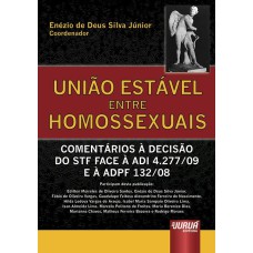 UNIÃO ESTÁVEL ENTRE HOMOSSEXUAIS - COMENTÁRIOS À DECISÃO DO STF FACE À ADI 4.277/09 E À ADPF 132/08