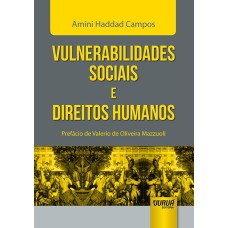 VULNERABILIDADES SOCIAIS E DIREITOS HUMANOS - PREFÁCIO DE VALERIO DE OLIVEIRA MAZZUOLI