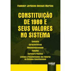 CONSTITUIÇÃO DE 1988 E SEUS VALORES NO SISTEMA - CONCEITO - CARACTERÍSTICAS - METANORMATIVIDADE - FUNÇÕES - ESTRUTURA POSITIVA - LIMITES E POSSIBILIDADES DOS VALORES NO SISTEMA CONSTITUCIONAL