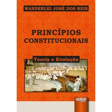 PRINCÍPIOS CONSTITUCIONAIS - TEORIA E EVOLUÇÃO