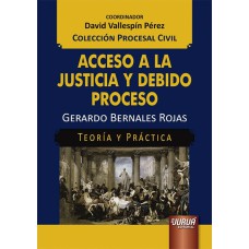 ACCESO A LA JUSTICIA Y DEBIDO PROCESO - TEORÍA Y PRÁCTICA - COLECCIÓN PROCESAL CIVIL - COORDINADOR: DAVID VALLESPÍN PÉREZ