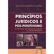 PRINCÍPIOS JURÍDICOS E PÓS-POSITIVISMO - A FORMAÇÃO DAS DECISÕES JUDICIAIS NO DIREITO BRASILEIRO