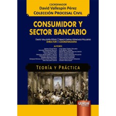 CONSUMIDOR Y SECTOR BANCARIO - TEORÍA Y PRÁCTICA - COLECCIÓN PROCESAL CIVIL - COORDINADOR: DAVID VALLESPÍN PÉREZ