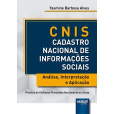 CNIS - CADASTRO NACIONAL DE INFORMAÇÕES SOCIAIS - ANÁLISE, INTERPRETAÇÃO E APLICAÇÃO