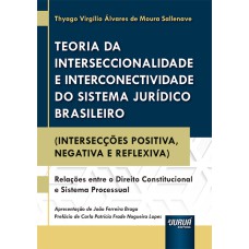 TEORIA DA INTERSECCIONALIDADE E INTERCONECTIVIDADE DO SISTEMA JURÍDICO BRASILEIRO - (INTERSECÇÕES POSITIVA, NEGATIVA E REFLEXIVA)