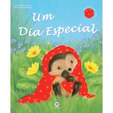 UM DIA ESPECIAL