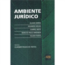 AMBIENTE JURÍDICO