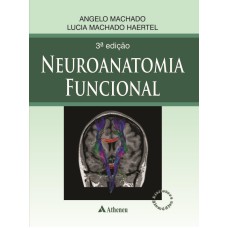 NEUROANATOMIA FUNCIONAL