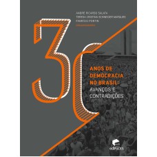 30 ANOS DE DEMOCRACIA NO BRASIL: AVANÇOS E CONTRADIÇÕES