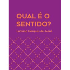 QUAL É O SENTIDO? - REFLEXÕES SOBRE O SENTIDO DA VIDA A PARTIR DE VIKTOR FRANKL