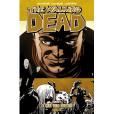 The walking dead - volume 18: o que vem depois