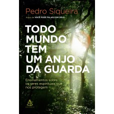 TODO MUNDO TEM UM ANJO DA GUARDA: ENSINAMENTOS SOBRE OS SERES ESPIRITUAIS QUE NOS PROTEGEM