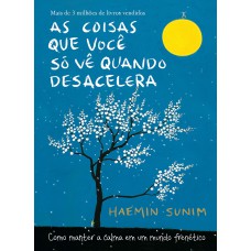 AS COISAS QUE VOCÊ SÓ VÊ QUANDO DESACELERA: COMO MANTER A CALMA EM UM MUNDO FRENÉTICO