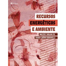 RECURSOS ENERGÉTICOS E AMBIENTE