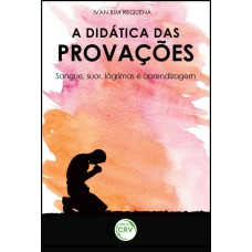 A DIDÁTICA DAS PROVAÇÕES: SANGUE, SUOR, LÁGRIMAS E APRENDIZAGEM