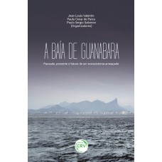 A BAÍA DE GUANABARA: PASSADO, PRESENTE E FUTURO DE UM ECOSSISTEMA AMEAÇADO