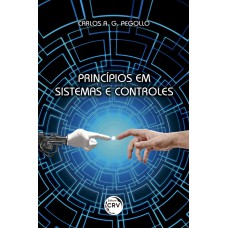 PRINCÍPIOS EM SISTEMAS E CONTROLES