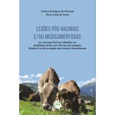 LESÕES PÓS-VACINAIS E/ OU MEDICAMENTOSAS: EM CARCAÇAS BOVINAS ABATIDAS EM ESTABELECIMENTOS COM SERVIÇO DE INSPEÇÃO ESTADUAL NA MICRORREGIÃO DOS LENÇÓIS MARANHENSES