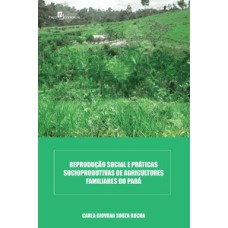 Reprodução social e práticas socioprodutivas de agricultores familiares do Pará