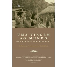 Uma viagem ao mundo dos Pykahu-Parintintin: olhares, percepções e sentidos