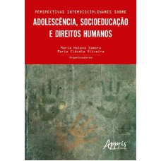 PERSPECTIVAS INTERDISCIPLINARES SOBRE ADOLESCÊNCIA, SOCIOEDUCAÇÃO E DIREITOS HUMANOS