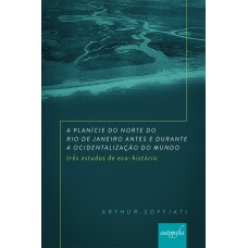 A PLANÍCIE DO NORTE DO RIO DE JANEIRO ANTES E DURANTE A OCIDENTALIZAÇÃO DO MUNDO - TRÊS ESTUDOS DE ECO-HISTÓRIA