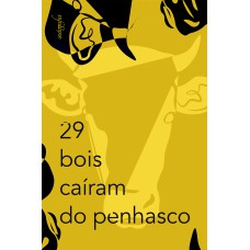 29 BOIS CAÍRAM DO PENHASCO