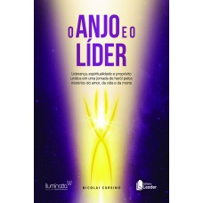 ANJO E O LÍDER, O - LIDERANÇA, ESPIRITUALIDADE E PROPÓSITO UNIDOS EM UMA JORNADA DE HERÓI PELOS MISTÉRIOS DO AMOR, DA VI