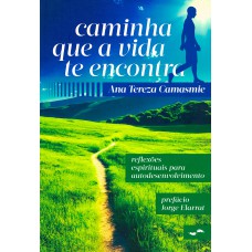 CAMINHA QUE A VIDA TE ENCONTRA