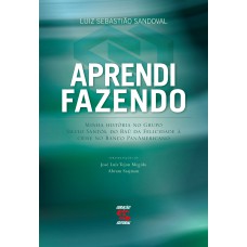 APRENDI FAZENDO - MINHA HISTÓRIA NO GRUPO SILVIO SANTOS, DO BAÚ DA FELICIDADE À CRISE DO BANCO PANAMERICANO